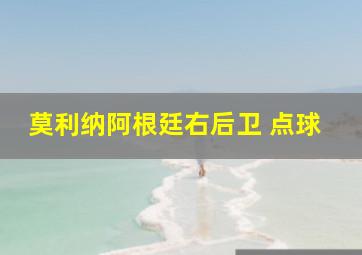 莫利纳阿根廷右后卫 点球